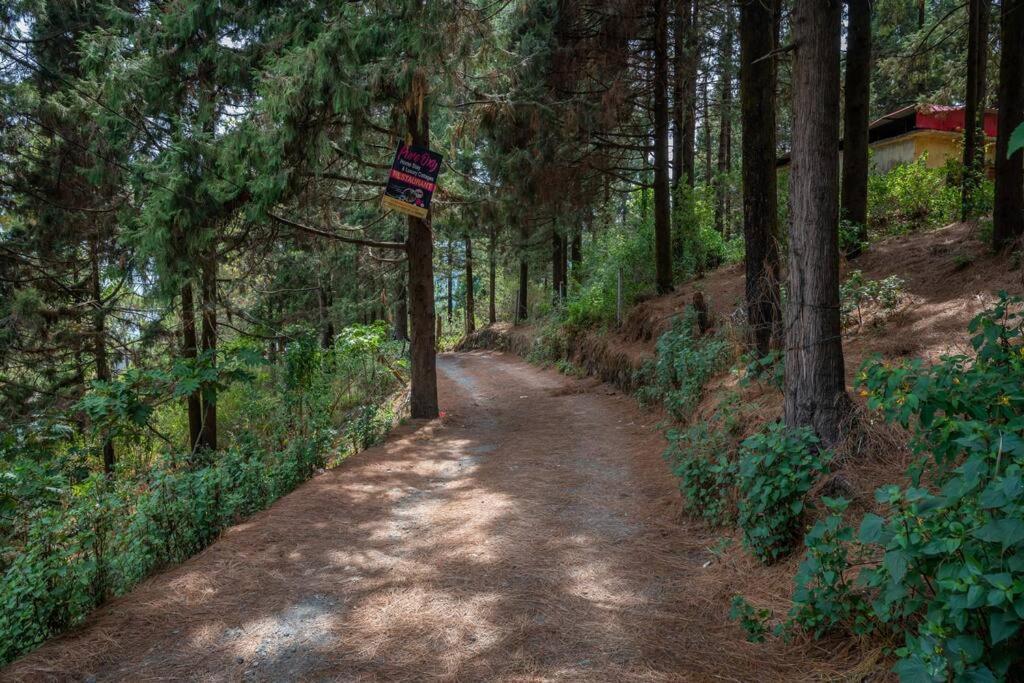 The Hill Story, Entire Chalet, Offbeat,Cozy Mussoorie Kültér fotó