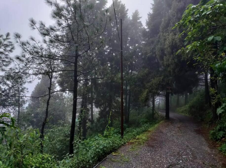 The Hill Story, Entire Chalet, Offbeat,Cozy Mussoorie Kültér fotó