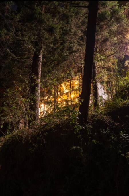 The Hill Story, Entire Chalet, Offbeat,Cozy Mussoorie Kültér fotó