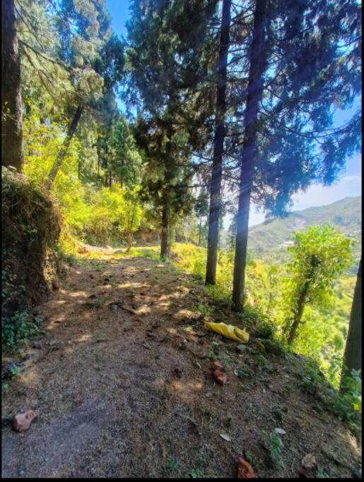 The Hill Story, Entire Chalet, Offbeat,Cozy Mussoorie Kültér fotó